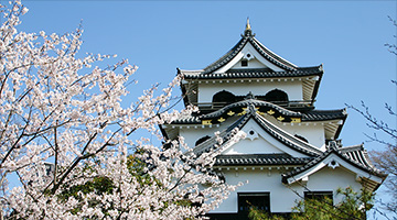 Hikone Castle